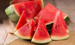 娱乐吃菌瓜,探寻娱乐与美食的完美融合