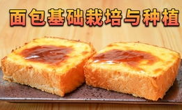 寺寺娱乐吃瓜,揭秘娱乐圈吃瓜背后的真相