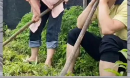 娱乐八卦一定是吃瓜群众的吗,揭秘吃瓜群众的狂欢盛宴