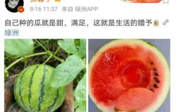 最近最火的娱乐圈吃瓜,揭秘明星背后的惊人真相!