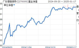 270007基金净值,揭秘投资潜力与风险