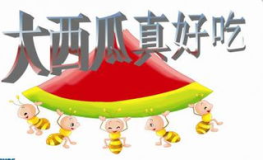 娱乐吃瓜ppt,揭秘娱乐圈幕后故事与热点事件