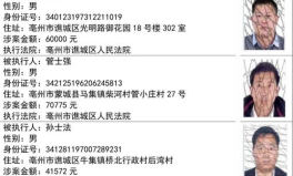 娱乐圈吃瓜小组名单公布,揭秘明星幕后故事，揭秘娱乐圈真相